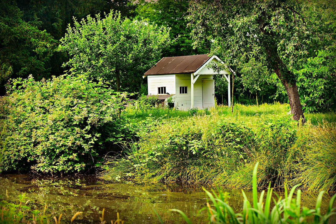 Tiny house wetten in België